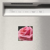 Rosa I Hübsche Blumenfotografie Magnet (In Situ (Geschirrspüler))