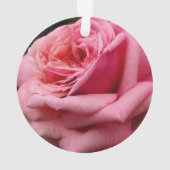 Rosa I Hübsche Blumenfotografie Ornament (Rückseite)