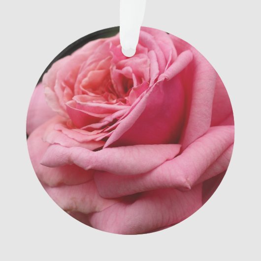 Rosa I Hübsche Blumenfotografie Ornament (Vorderseite)