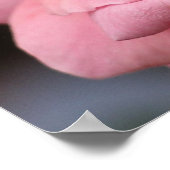 Rosa I Hübsche Blumenfotografie Poster (Ecke)