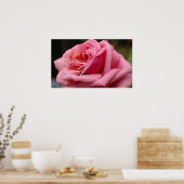 Rosa I Hübsche Blumenfotografie Poster (Küche)