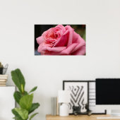 Rosa I Hübsche Blumenfotografie Poster (Heimbüro)