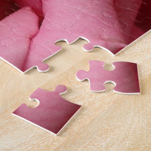 Rosa I Hübsche Blumenfotografie Puzzle (Seite)