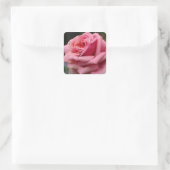 Rosa I Hübsche Blumenfotografie Quadratischer Aufkleber (Tasche)