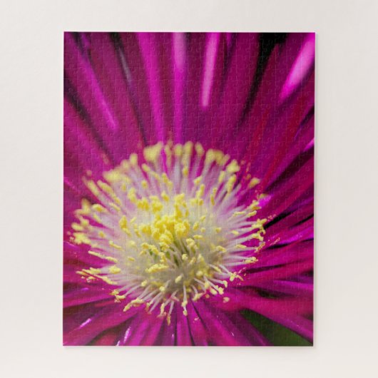 Rosa Ice Pflanze Blume Puzzle (Vertikal)