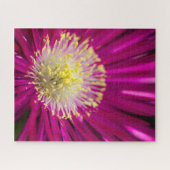 Rosa Ice Pflanze Blume Puzzle (Horizontal)
