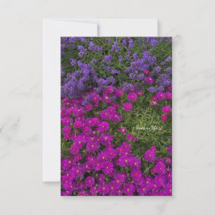 Rosa Ice Pflanze und Lavendel Mitteilungskarte