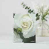 Rosa Iceberg Postkarte (Stehend Vorderseite)
