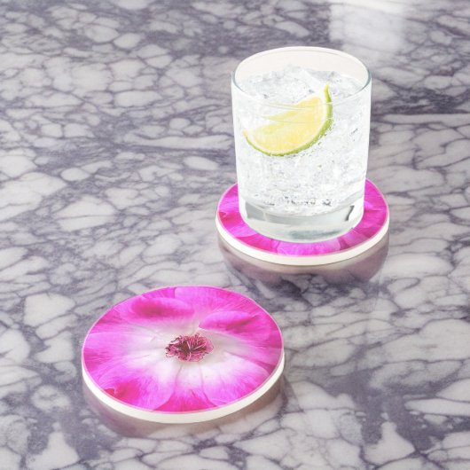 Rosa Iceberg-Rose Getränkeuntersetzer