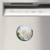 Rosa Iceberg:Round Magnet (In Situ (Geschirrspüler))