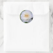 Rosa Iceberg [Round Seal] Runder Aufkleber (Tasche)