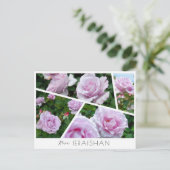 Rosa Ieraishan Postkarte (Stehend Vorderseite)