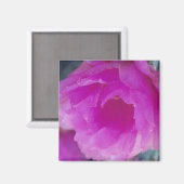 Rosa Igel Kaktus Blüte (Echinocereus Magnet (Vorderseite/Rückseite)
