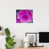 Rosa Igel Kaktus Blüte (Echinocereus Poster (Heimbüro)