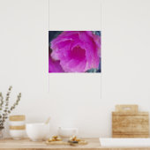 Rosa Igel Kaktus Blüte (Echinocereus Poster (Küche)