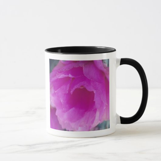 Rosa Igel Kaktusblüte (Echinocereus) Tasse (Rechts)