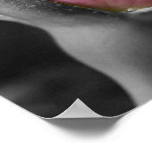 Rosa-II-Poster Poster (Ecke)