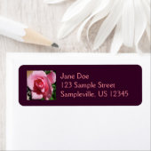 Rosa III Garten Blumen (Insitu)