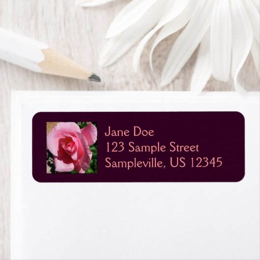 Rosa III Garten Blumen (Insitu)