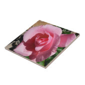 Rosa III Garten Blumen Fliese (Seite)