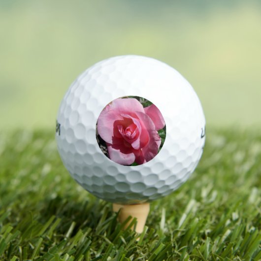 Rosa III Garten Blumen Golfball (Insitu T-Shirt)