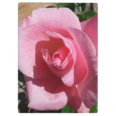 Rosa III Garten Blumen Klemmbrett (Rückseite)