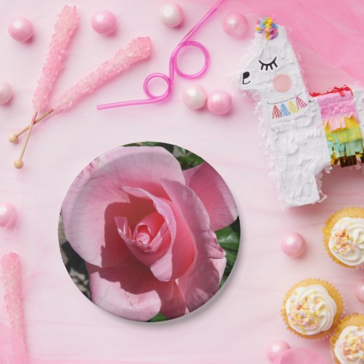 Rosa III Garten Blumen Pappteller (Party)