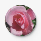 Rosa III Garten Blumen Pappteller (Vorderseite)