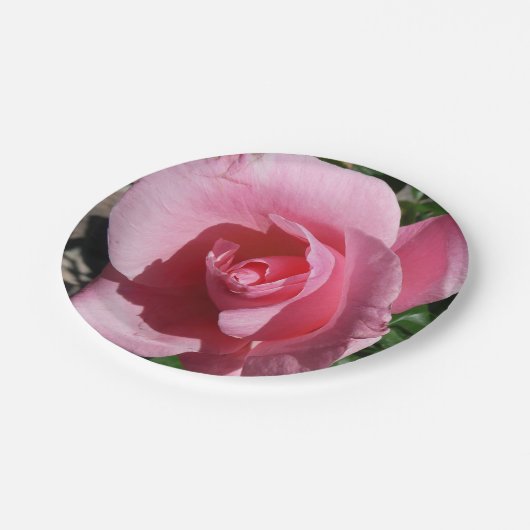 Rosa III Garten Blumen Pappteller (Schrägansicht)