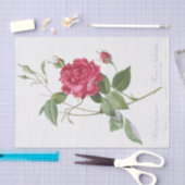 Rosa indica cruneta seidenpapier (Handwerk)