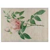 Rosa indica dugrans botanische Abbildung Schneidebrett (Vorderseite)