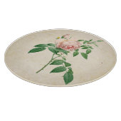 Rosa indica dugrans botanische Abbildung Schneidebrett (Ecke)