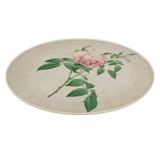 Rosa indica dugrans botanische Abbildung Schneidebrett (Ecke)