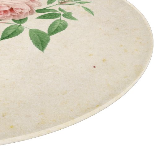 Rosa indica dugrans botanische Abbildung Schneidebrett (Ecke)