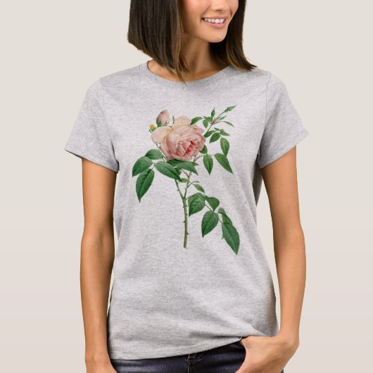 Rosa indica dugrans botanische Abbildung T-Shirt (Vorderseite)