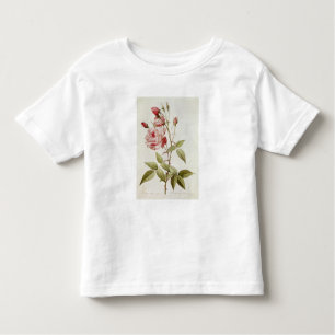 Rosa-Indica gemeines, von 'Les Rosen Kleinkind T-shirt