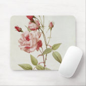 Rosa-Indica gemeines, von 'Les Rosen Mousepad (Mit Mouse)