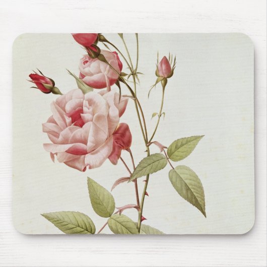 Rosa-Indica gemeines, von 'Les Rosen Mousepad (Vorne)