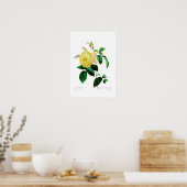 Rosa indica poster (Küche)