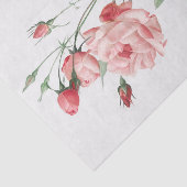 Rosa Indica Vulgaris Seidenpapier (Ausschnitt)