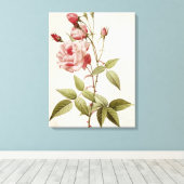 Rosa Indica Vulgaris, von 'Les Rose Leinwanddruck (Insitu (Holzboden))