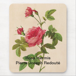 Rosa Inermis, Pierre Joseph Redouté Mousepad