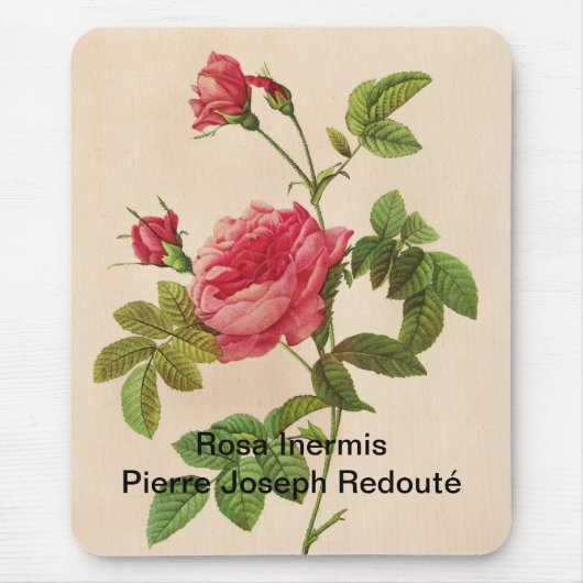 Rosa Inermis, Pierre Joseph Redouté Mousepad (Vorne)