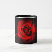 Rosa Ingrid Bergman:Combo Mug Tasse (Zentrum)