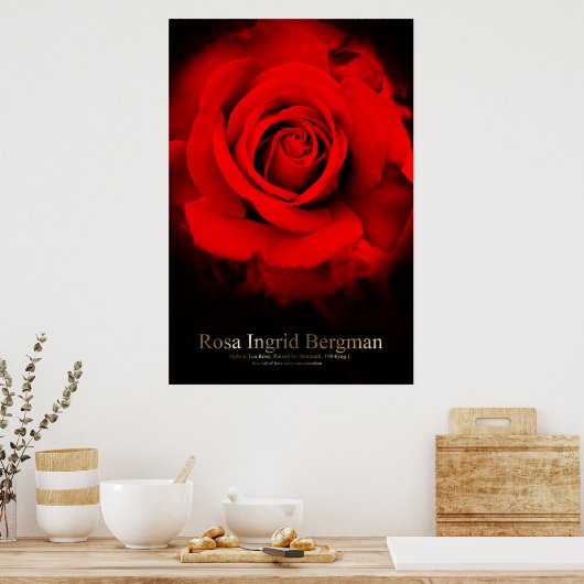 Rosa Ingrid Bergman:Poster Poster (Küche)