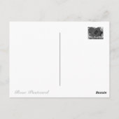 Rosa Ingrid Bergman Postkarte (Rückseite)