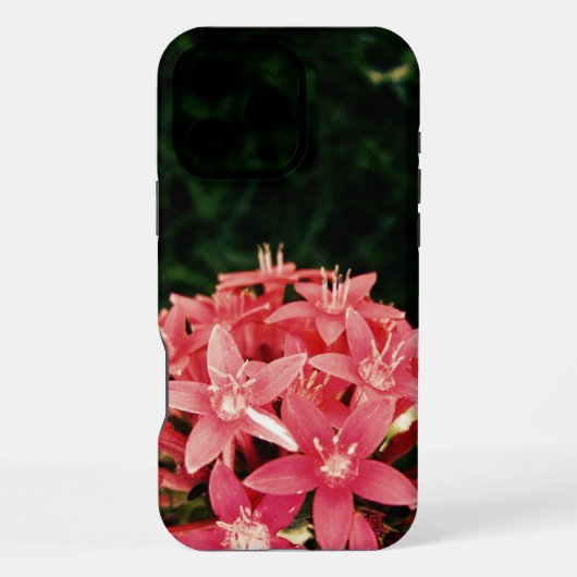 Rosa iPhone Hülle (Rückseite)