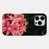 Rosa iPhone Hülle (Rückseite (Horizontal))