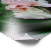 Rosa Iris Blume Abstrakt Art 8x8 Fotodruck (Ecke)
