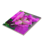 Rosa Iris Blume Tile Fliese (Seite)
